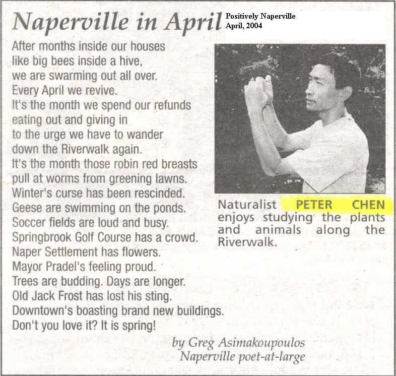 Apr 2004 Positively Naperville Naperville in April