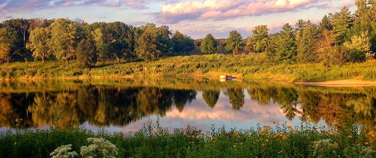 iNaturalist Project McDowell Grove Forest Preserve