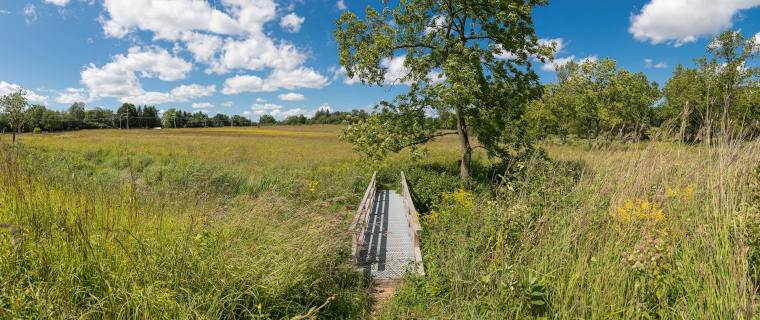 iNaturalist Project Schulenberg Prairie