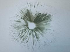 (Green-spored Parasol) green spore print