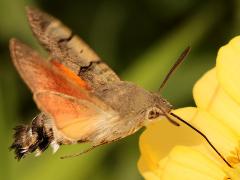 Eastern Europe nature photos 2025