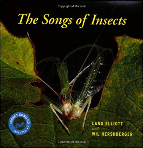Buy Songs of Insects
